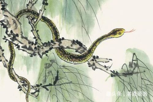 鱼水情深，共创辉煌