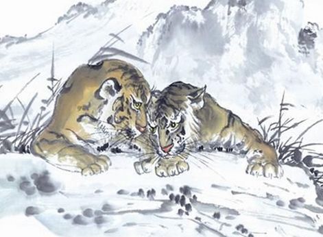 属虎的人今年多少岁了，能否详细解释一下十二生肖虎的年龄计算方法？