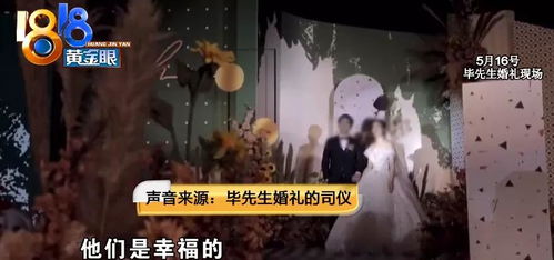 研究背景与案例概述