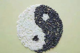 北京算命先生，能否帮我改写生辰八字，看看我的运势如何？