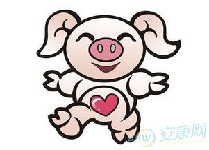 属猪的人马年运势如何？属猪的马年运势怎么样？