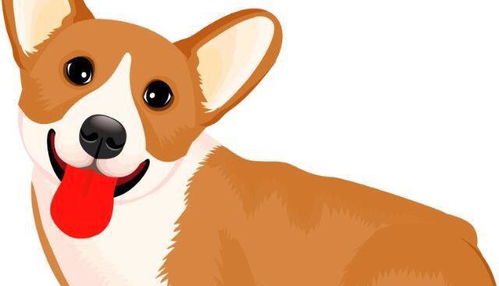 属马人：社交牛逼症患者