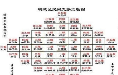 黄历中盖屋具体指什么活动或事宜？