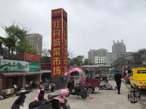 交通：一场冒险的开始 (或着终结)