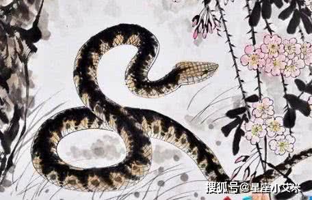 属蛇2026年犯什么太岁，属蛇2025年又犯什么太岁？这是指哪两年分别遭遇的运势影响？