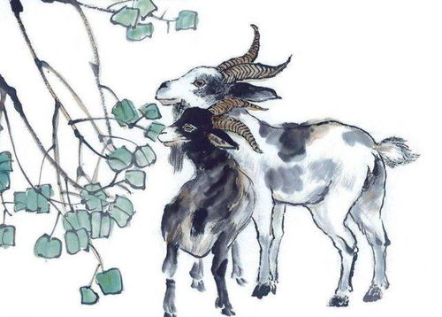 二、 生肖羊：温柔善良织就的甜蜜网络