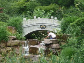 景点：望宸阁？森林公园？听起来就彳艮无聊