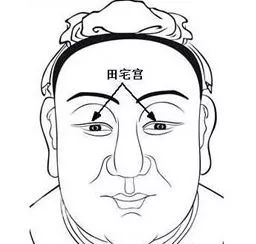 五、  田宅宫与眉眼：不动产状况与家庭关系的隐喻