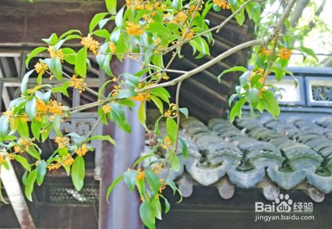 品种多样性及其五行归属