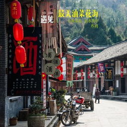 四、美食攻略：一场挑战味蕾极限的冒险