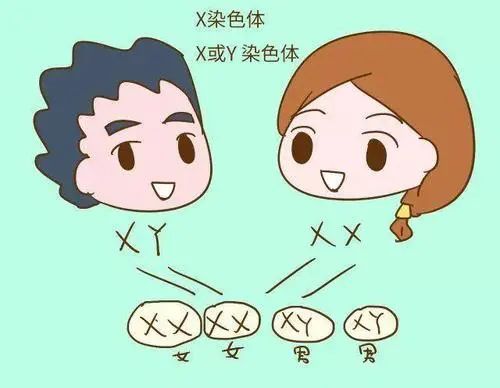 案例分享：一位准妈妈的经历