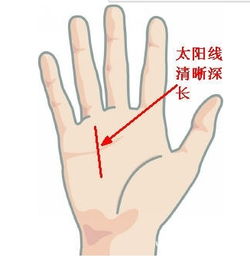 1. 性欲线清晰明显
