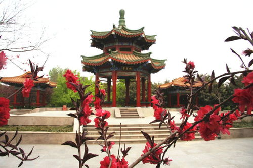 震惊！国花园门票价格暗藏玄机，2026年运势大解析