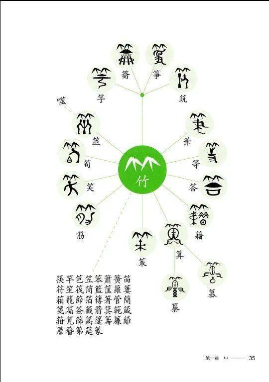 树字五行：木生万物， 根深叶茂