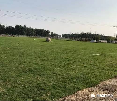 三秋醋博园：68块门票值不值？我用体验时较长算了一笔账