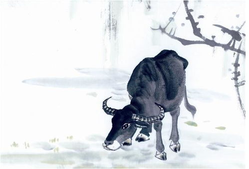 二、 正月诞生属牛人的运势特征