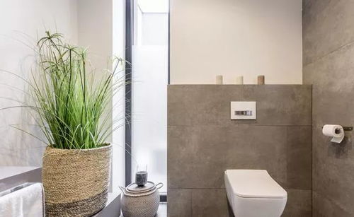 二、 遮挡与规避：化解“进门见卫”的风水策略