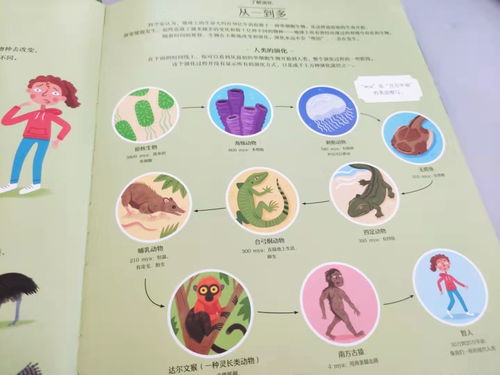 生命历程分阶段研判