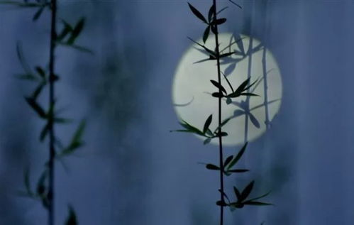 二、  寇准《月夜怀故人》：诗词中的情感流转与文化底蕴意蕴