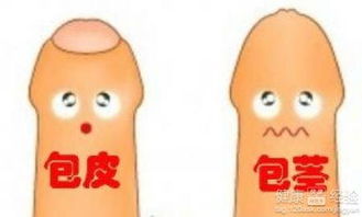手术的时机和注意事项