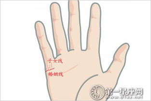 宝宝手纹能准确预测吉凶吗？