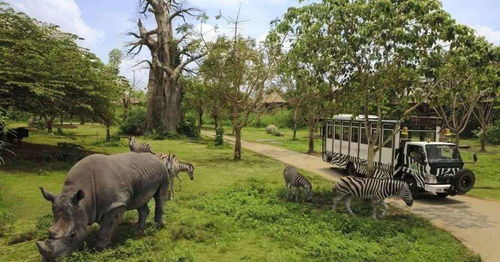 椒江动物园：一个让你怀疑人生的地方（真的）