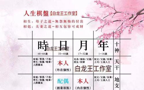 ：十神的定义及其重要性