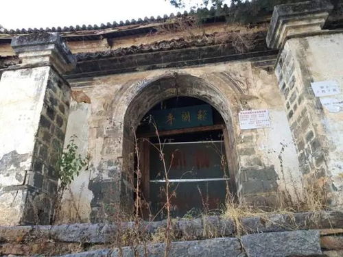 历史渊源及演变轨迹