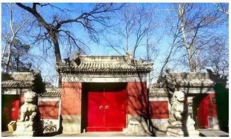 2. 法源寺：丁香花开的千年古刹