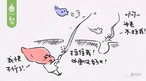 一望无际的生肖是什么？两鬓斑白打一生肖又是哪位？