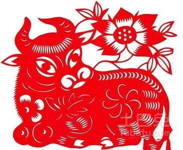 大龙年指的是哪一年？2015年又是哪个生肖年？