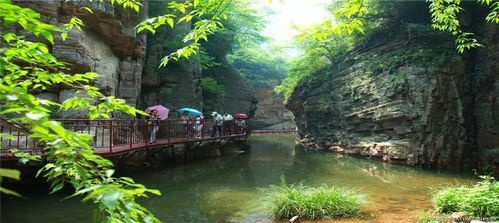 星座运势大揭秘！这些星座最适合去！