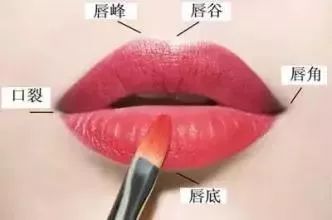 三、 上下唇均薄或单侧薄者（标号2、7）