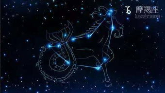 摩羯座最适合和哪个星座配对呢？