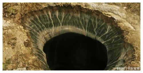 天地盘中心“有人盘”之传说及其社会语境