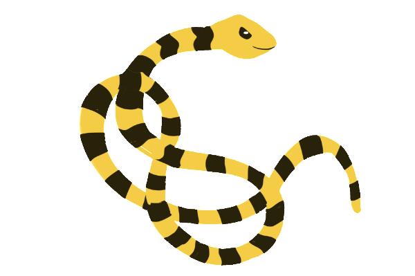 属蛇的双子座幸运数字是多少？这个数字有什么特殊含义吗？