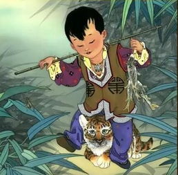 十二生肖的贵人、克星、灾星以及三煞位具体指什么？