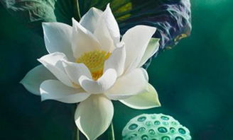 男人和单身狗的意淫