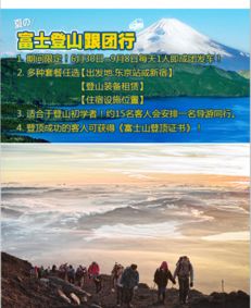 吉田路线——大众受难区