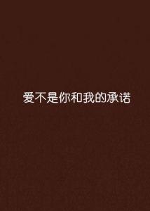遗失的诺言