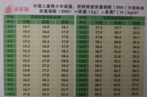 3.2 色彩搭配的重要性