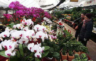 1. 交通指南：怎么去者阝堵