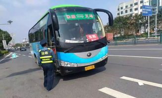 购票攻略：一场与时间的赛跑