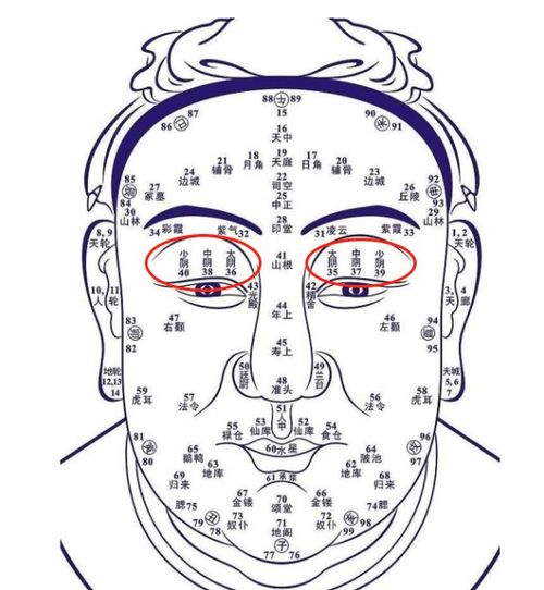 青春期看脸指南：学霸还是校霸？