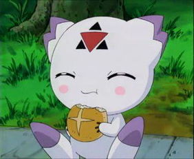 前言：兆＋龙宝宝的奇葩组合