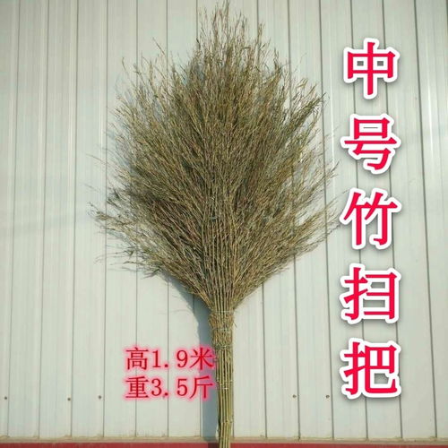 三、 现代化社会周边环境对“扫帚星”概念的反思