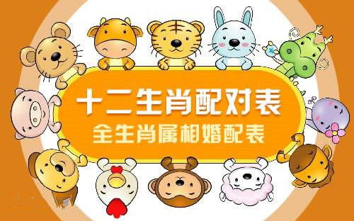 八字相合属相不合，这样的婚姻组合是否可能幸福长久？