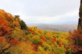 这破景区到底在哪？