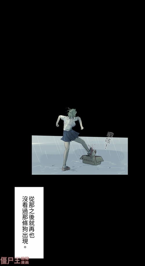 一、 与探究背景