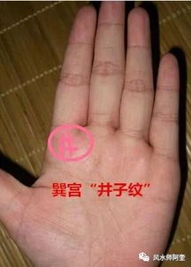 恶搞图与图解大全：两种视角的碰撞